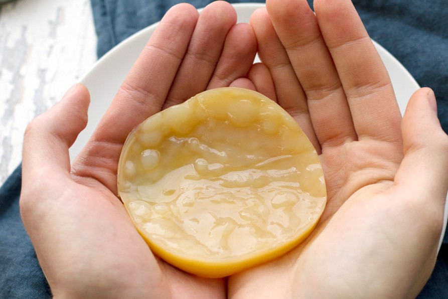 holding kombucha scoby