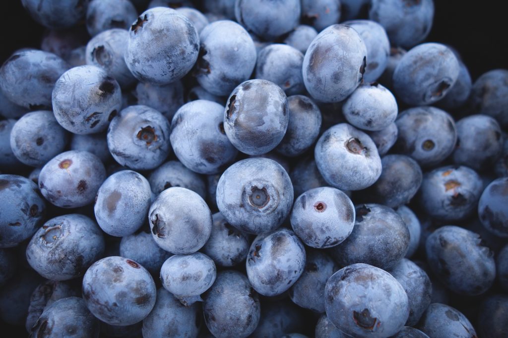 beautiful blueberries are perfect wisdom teeth removal food for vegans