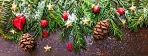healthy vegan holiday baking recipes
