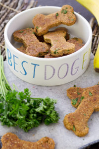 Closeup of vegan dog treat recipe made with nut pulp