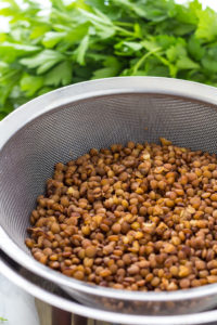 Spicy lentil wrap cooked lentils