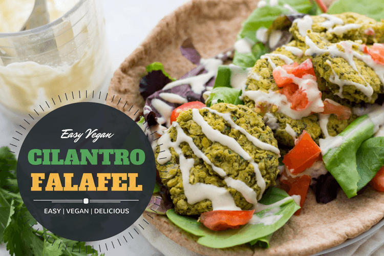Easy vegan cilantro falafel recipe