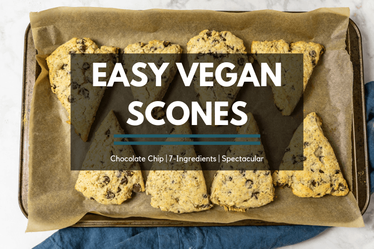 Easy vegan chocolate chip scone recipe