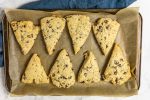 Baked vegan chocolate chip scones