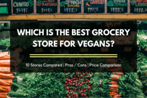 Which is the Best Grocery Store for Vegans? (+Price Comparison!)