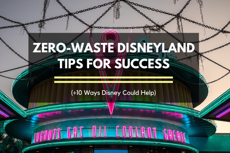 Zero-Waste Disneyland Trip. Tips for success, and 10 ways Disney could help us out!