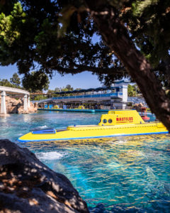 Disneyland Submarines have gone electric, why not autopia?