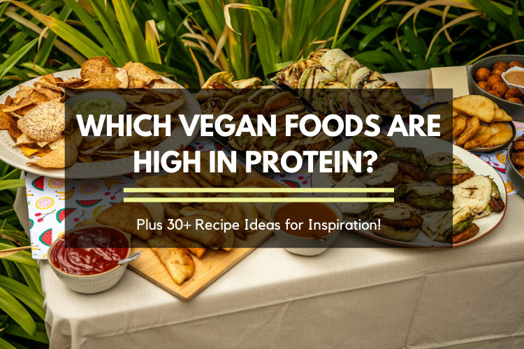 Ah, protein… That mysterious macronutrient seeming to constantly evade vegans. Oh, wait, no it’s not: there’s protein in nearly every vegan staple, meaning it’s nearly impossible to be deficient. Which vegan foods are highest in protein? And what recipes use those ingredients? I’ve got you covered!