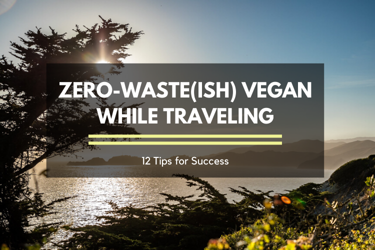 Zero-Waste(ish) Vegan While Traveling: 12 Tips for Success